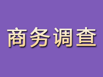 革吉商务调查